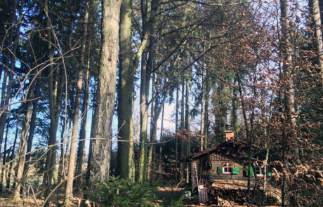 Spaziergang Gilchinger Steinberg - Hexenhäuschen