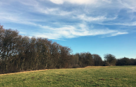 Spaziergang zum Wesslinger See
