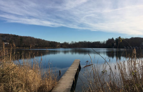 Spaziergang zum Wesslinger See - Steg