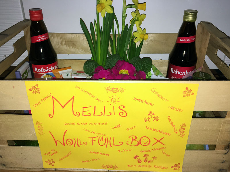 Mellis Wohlfühl Box