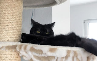Was guckst du?