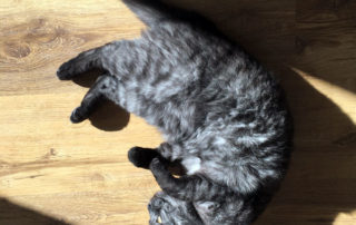 Hallo Sonne!