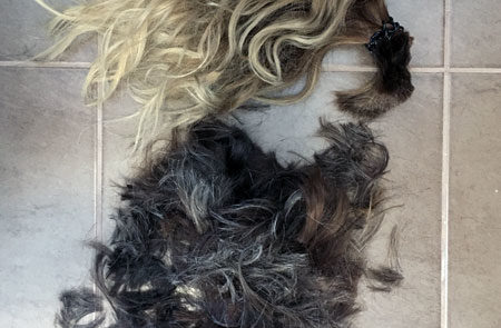 Schnipp Schnapp Haare ab
