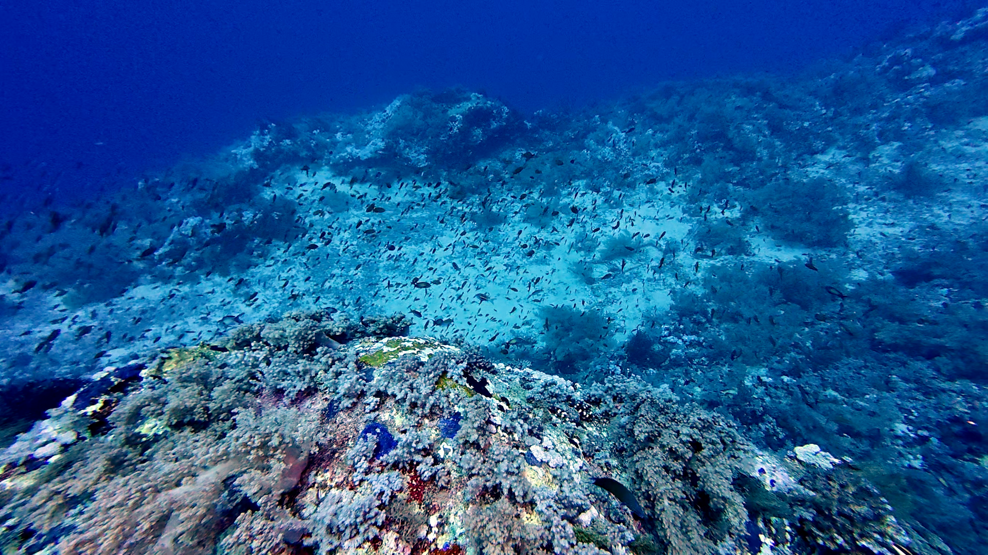 Farbklekse unter Wasser