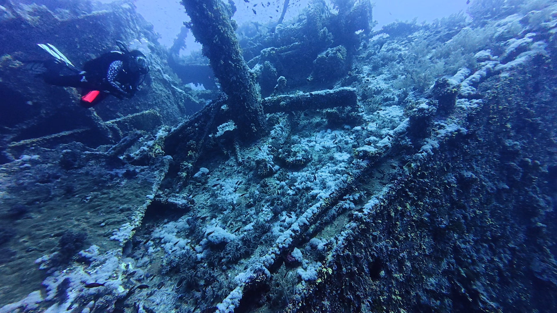 Numidia