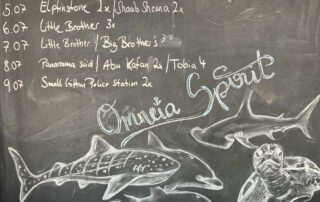 Tauchgänge Tauchgänge