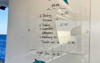 Letzter Tag – Zeitplan Letzter Tag - Zeitplan