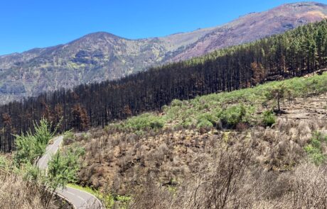 Naturpark Corona Forestal