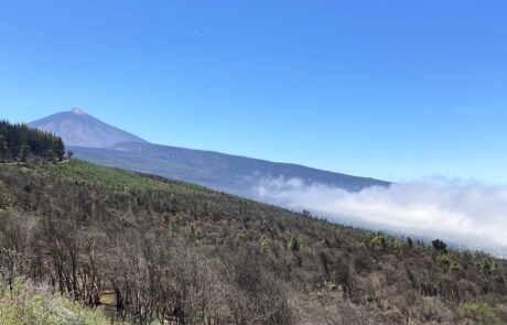 Naturpark Corona Forestal