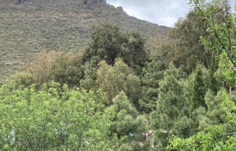 Blick aus dem Zimmerfenster