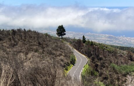 Blick auf Puerto de la Cruz