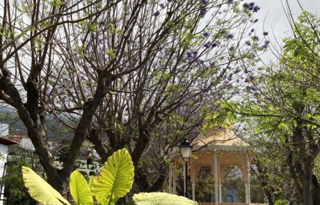 Plaza de la Constitución - Musikpavillon
