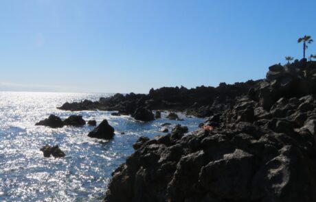 Schroffe Küstenlandschaft