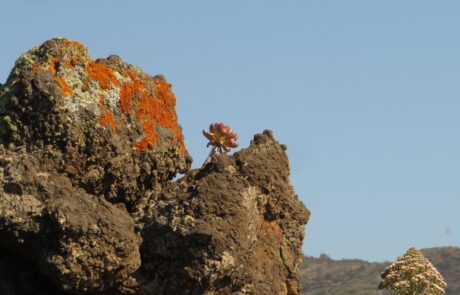 Schroff und doch schön