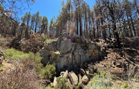 Piedra la Rosa (Steinerne Rose)