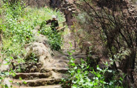 Naturpark Corona Forestal