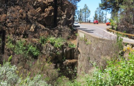 Naturpark Corona Forestal