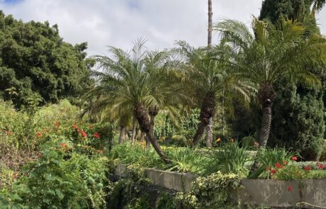 Hijuela del Botánico